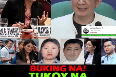 ‘Burden of Proof’ ni Escudero, Pambabalewala sa National Security? POGO Scandal ni Alice Guo, Binigyan ng Legal na ‘Kalasag’