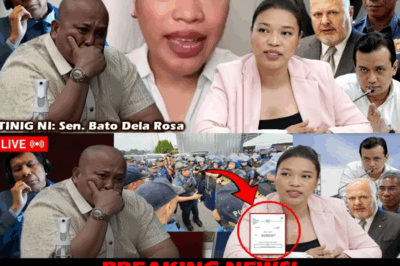 NAKATAYO SA BORDERLINE: Bato Dela Rosa, Humingi ng Proteksyon sa Senado Habang Nakabinbin ang ‘Susunod’ na ICC Arrest Warrant; Legal na Laban, Nakasalalay sa Desisyon ng Korte Suprema