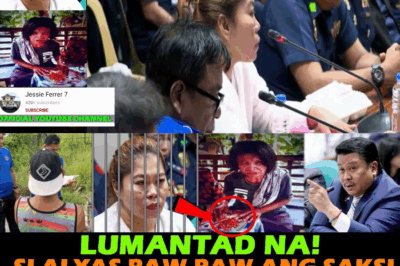 Titig ng Katotohanan: ‘Sili sa Ari at Pukpok ng Martilyo’—Ang Nakagigimbal na Pag-abuso kay Elvie Vergara, Binasag ng mga Bagong Saksi ang Depensa ng Amo sa Huling Pagdinig sa Senado