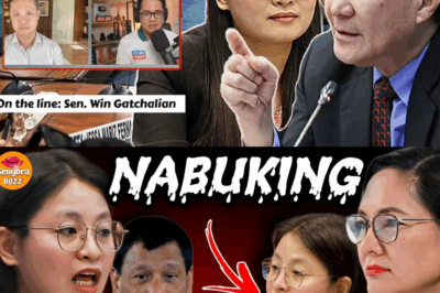 ANG IMPYERNONG P6.1 BILYON: PAGBUNYAG SA MGA SEKRETO NI MAYOR ALICE GUO AT ANG SINDIKATO SA LIKOD NG HUMAN TRAFFICKING SA BAMBAN POGO HUB