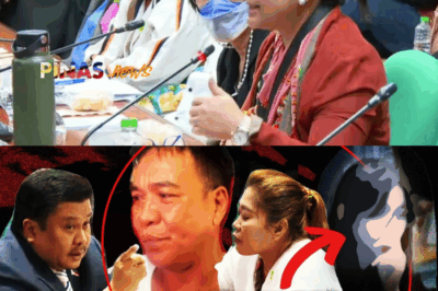 “Pag Sinungaling Kayo, Pakukulong Ko Kayo!”: Banta ni Estrada sa Mag-asawang Amo ni Elvie Vergara; Warrant vs. 18-Anyos na Anak, Iginigiit