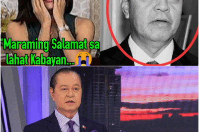 ANG NAKAKAIYAK NA PAMAMAALAM NA HINDI NAGING PANGHULI: ANG EMOSYONAL NA ROLLER COASTER NI KABAYAN NOLI DE CASTRO MULA HIMPAPAWID PATUNGONG PULITIKA, AT ANG KANIYANG DI-MALILIMUTANG PAGBABALIK