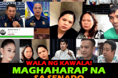 ‘DNA ng Suspek, Sadyang Tinanggihan?’: Tulfo, Gigisahin ang PNP sa Senado sa Misteryo ng Pagkawala ni Catherine Camilon