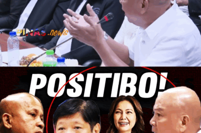 PUMUTOK NA KATOTOHANAN: Ang Lihim na Ugnayan ni PBBM, Maricel Soriano, at ang ‘Binasurang’ Ebidensya ng PDEA—Isang Dating Ahente, Nananawagan ng Hustisya sa Senado