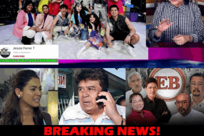 ANG LIHIM NA PAG-AALOK: Ang Emosyonal na ‘Pagbubunyag’ ni MJ Lastimosa na Nagpabigat sa Kaso ng TAPE Inc. at Nagpatunay sa Katapatan ng Dabarkads