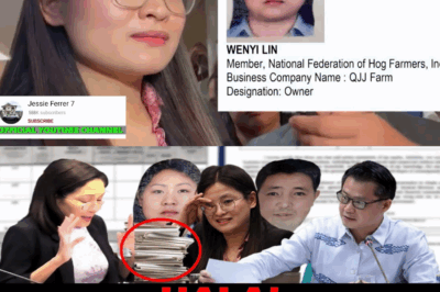 ANG P6.1-BILYONG MISTERYO: SINUNGALING SA DOKUMENTO, WALANG UMIIRAL NA INA, AT KONEKSYON SA POGO SYNDICATE—SI ALKALDE ALICE GUO, ISANG BANTANG PAMBANSA.