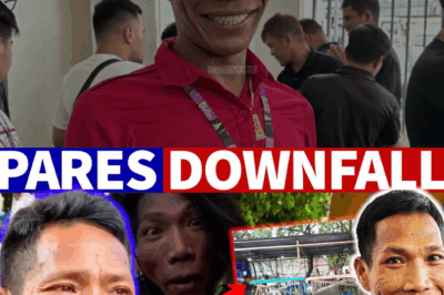 ANG BABALA NG FAME: Paano Winasak ng Arogansya ang Mabilis na Pagsikat ni Diwata, Mula sa Parisan Hanggang sa Pulitikal na Kabiguan