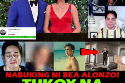 ANG HIWALAYAN NA INUGAT SA ISANG KONTROBERSYAL NA CONDO: Bea Alonzo, Nabuking ang Lihim na Ugnayan ni Dominic Roque sa Misteryosong Pulitiko?
