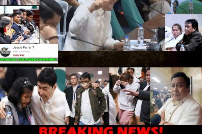 SUMABOG SA GALIT! Batas na Nagpoprotekta sa ‘Magnanakaw’ na mga Amo, Ibinulgar ni Senador Tulfo sa Gitna ng Kaso ni Kasambahay Elvie Vergara: “Isoli Mo Lang ang Ninakaw Mo, Tapos Na!”