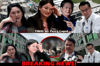 PATONG-PATONG NA KASO VS MAYOR GUO, INIHAIN NA! POGO MAFIA, KINABIBILANGAN NG MGA DATING OPISYAL; HINDI LANG HUMAN TRAFFICKING, PANGANIB SA PAMBANSANG SEGURIDAD, NABISTO!