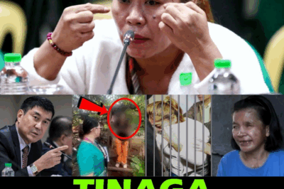 KASO NI ELVIE VERGARA: EX-HELPER, TINAGA RAW SA KAMAY NI FRANCE RUIZ; ‘KARMA’ SA PANG-AABUSO, LUMALAPIT NA!