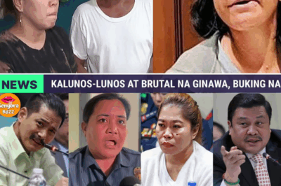 BULAG NA KASAMBAHAY NA SI ELVIE VERGARA: ANG TATLONG TAONG IMPYERNO NG PAGMAMALTRATO NA YUMANIG SA SENADO; Pamilya Ruiz, BISTADO sa Pilit na Pagpapakain ng Dumi ng Aso at Pagpukpok ng Martilyo