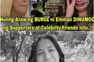 ANG TRAHEDYA NG ISANG HENERASYON: Paalam, Emman Atienza! Ang Pambabatikos sa Social Media na Siyang Sumakop sa Huling Digmaan ng Isang 19-anyos na may Depresyon