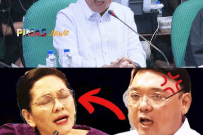 PUMUTOK NA SIKRETO SA SENADO: Mainit na Sagutan ni Roque at Hontiveros, POGO-Linked House at Ang Isyu ng ‘Abogado ng Arelo’