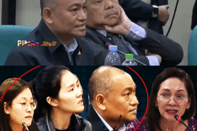 ABOGADO NI ALICE GUO, GINISANG MAIGI SA SENADO: “NA-STARSTRUCK” DAW KAYA IPINASA-WALANG-BISA ANG NOTARYAL NA BATAS?