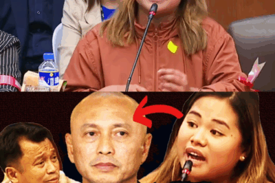 HUSTISYA PARA KAY BISE-MAYOR DIVINA: ANAK, SAPO ANG LOOB NA IBINULGAR ANG MGA ‘PERSON OF INTEREST’ SA SENADO!