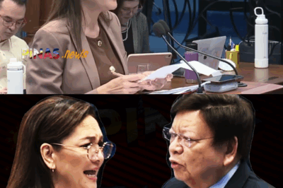 KAILAN NAGIGING BULAG ANG RESPETO? Uminit na Sagutan Nina Marcoleta at Hontiveros sa Senado, Sentro ng Kontrobersyal na Desisyon ng Korte Suprema