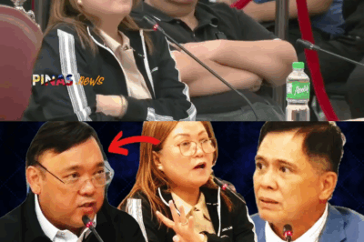 Lalong Umiinit: Pamilyang Cruz, Diretsahang Binara si Harry Roque sa Kongreso; Kontrata ng POGO Hub, Puno ng Pekeng Lagda at Ireguradidad