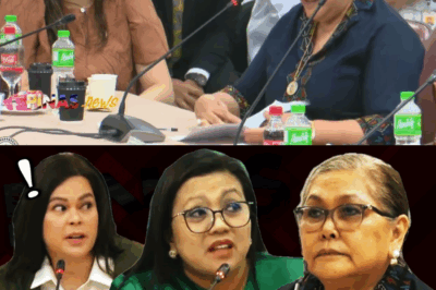 ANG SIYAM NA SOBRE AT ANG SIKRETO NG ‘HOPE’: Ex-DepEd USEC, Handaing Ibinunyag ang Posibleng Pagsusuhol Mula sa Opisina ni VP Sara, Nagdulot ng Sapilitang Pagre-resign