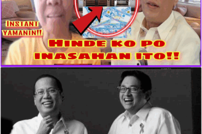 HULING HABILIN NI PNoy: Ang Nakagugulat na Mana Para sa Kanyang Matapat na Kasambahay—Isang Pamanang Bumago ng Buhay, Nagpataas ng Dignidad