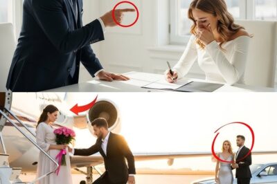 Mula sa Pagiging Sawing Asawa Patungo sa Pagiging Bilyonaryong Tagapagmana: Ang Kagila-gilalas na Pagbangon ni Harper Ellis at ang Pagbagsak ng Mapang-aping si Brandon Hail bb