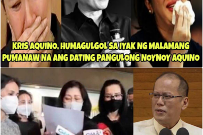 Lisan Man ang Katawan: Ang Walang Hanggang Alaala at Pamana ni PNoy, Ang Pangulo ng Daang Matuwid