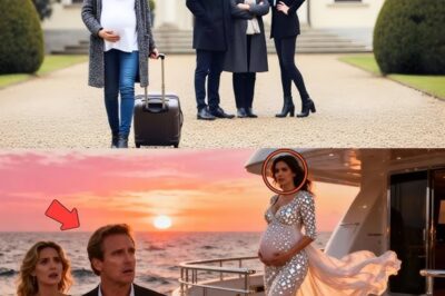 Mula sa Pagkaka-itapon sa Kalsada Tungo sa Pagpapatigil ng Korte: Ang Hindi Inasahang Paghihiganti ni Clare Whitmore Gamit ang Isang Lihim na Pangalan bb