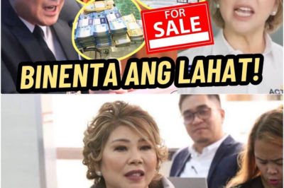 Bilyon-Bilyong Ari-arian nina Raffy at Jocelyn Tulfo Ibinenta na nga ba? Misteryo sa Likod ng Alegasyon ng Hiwalayan at Third Party, Inalam!