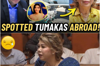 HINDI NA NAKAPAGTIMPI: Raffy Tulfo at Chelsea Elor, Umano’y Biglaang Lumipad Paalis ng Bansa; Jocelyn Tulfo, Wasak ang Puso at Umiiyak sa Gitna ng Matinding Kontrobersya!