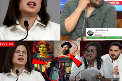 VP Sara Duterte, ‘Binuking’ ng mga Pangalang Multo: P612.5M Confidential Funds, Binalot ng Misteryo sa Likod ng mga ‘Celebrity-Like’ ARs