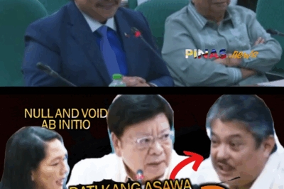 “PSYCHOLOGICAL INCAPACITY”: GINISA NI MARCOLETA SA CA ANG NOMINEE NA DATING ASAWA NG KAPATID NI HONTIVEROS!