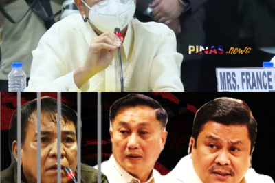 HUSTISYA PARA KAY ELVIE: Mag-asawang Ruiz, Tuluyang Ipinaditine ng Senado Dahil sa ‘Seryosong Pagsisinungaling’ at Pagtanggi sa Apela; Kaso ng Kasambahay, Nag-iwan ng Matinding Marka sa Bansa