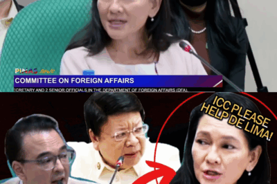 ICC vs. Soberanya: BAKBAKAN ni Marcoleta at Hontiveros Sumiklab; Cayetano, LALONG Nagdiin ng Ebidensya Laban kay De Lima