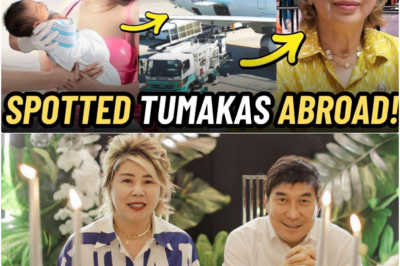 Pagtakas sa Gitna ng Unos: Senador Raffy Tulfo at Chelsea Ylore, Namataan Diumano sa Amerika; Jocelyn Tulfo, Hindi Na Mapigilan ang Galit!