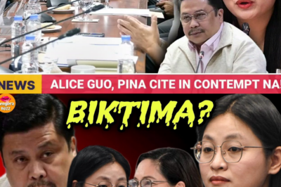 TULUYANG PAGTATAKSIL: Buhay at Kinabukasan ng Isang Opisyal ng Philippine Navy, Ikinumpromiso ng 193 Korporasyong Sinasabing Linked sa POGO at Dayuhang Sindikato