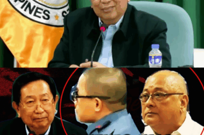 HUSTISYA, NALULA! SIYANG DAPAT MAGSANGGALANG, SIYA PA ANG NAGBALIGTAD: Acop, DINURO ang Pulisya sa Pag-ABSWELTO kay Ex-Cop Gonzales at Pag-GIPIT sa Dehadong Siklista