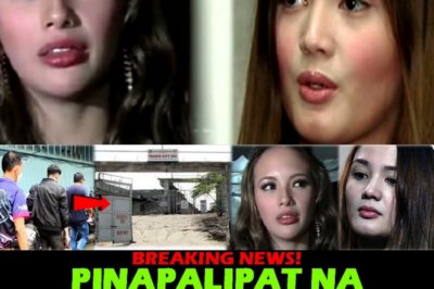 HINILING NA APELA, IBINASURA: Utos ng Korte, Si Vhong Navarro, ILILIPAT na sa Taguig City Jail—Security Fears, Di-Sapat na Basehan!