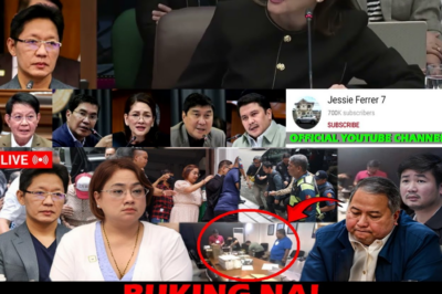 KRISIS SA KATOTOHANAN: CURLEE DISCAYA, CITIZEN IN CONTEMPT MATAPOS SIYA MISMO NG ASAWA NIYA ANG NAG-BUKING SA SENADO; HIGH-RANKING OFFICIALS, POSIBLENG MALANTAD PA