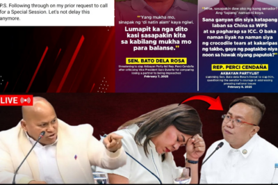 BUKING! Bato Dela Rosa, Bumanat ng ‘Sapok’ sa Stroke Survivor na Kongresista; Politikal na Neutralidad, Nabalot ng Pag-aalala sa Kampanya