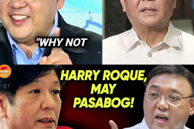 Ang Matinding Depensa ni Harry Roque: POGO, Fugitive, at Ang Akusasyon ng Harassment—Bakit Tinitira ang Dating Tagapagsalita?