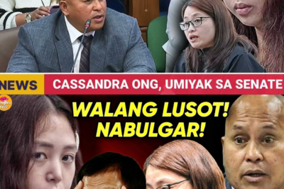 ANG BILYONARYONG ‘BATANG GINAGAMIT’: 19-ANYOS NA CORPORATE SECRETARY, PINAYAMAN NG CHINESE ‘NINONG’ SA GITNA NG PORAC POGO HUB—KUWENTO NI CASSANDRA ONG