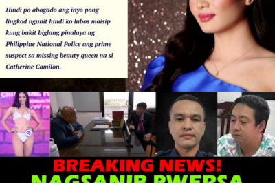 HUSTISYA SA DILIM: Bakit Pinakawalan ang Prime Suspect? Kaso ni Catherine Camilon, Aakyat sa Senado; Sina Sen. Tulfo at Sen. Bato, Handa Nang ‘Gisahin’ ang mga Sangkot