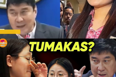 Ang Tahasang Pagtalikod sa Batas ni Alice Guo: Simula ng Pagsampa ng Kaso at Ang Pagbagsak ng POGO Empire—Senador Gatchalian, Nagbunyag ng Detalyadong Plano sa Kinabukasan ng Bansa