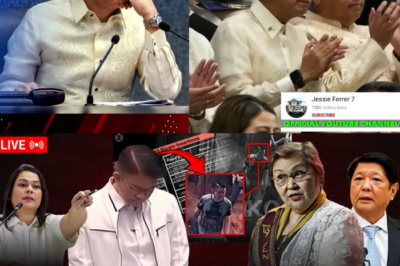 KRUSADA SA INTEGRIDAD: ANG NAGLILIYAB NA HAMON NI PROF. DIOKNO SA SENADO AT ANG ULTIMATUM NI MARCOS JR. LABAN SA ‘GHOST PROJECTS’ AT BUDGE-INSERTIONS