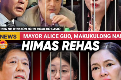 Mayor Alice Guo, Haharap sa Walang Katapusang Kaso: Lihim ng POGO, Ibinulgar ang Mas Malaking Krisis sa Pilipinas, Pinuna ang Pagkawala sa Realidad ng mga Opisyal