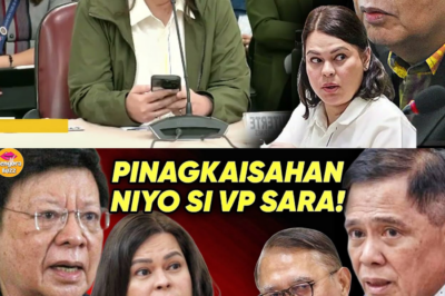 KRISIS SA KAPANGYARIHAN: MARCOLETA, SINIBAK SA KOMITE MATAPOS ANG MAINIT AT WALANG TAKOT NA PAGTATANGGOL KAY VP SARA SA GITNA NG CONFIDENTIAL FUNDS INQUIRY