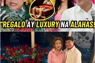 Lihim sa Likod ng Alahas: Raffy Tulfo, Jocelyn Tulfo, at Chelsea Elor, Sangkot sa Isang Matinding Kontrobersyang Ibinunyag ni Cristy Fermin
