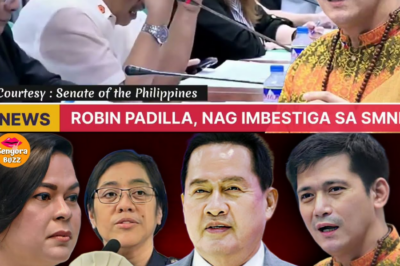 Luha ni Lola Bago Mag-Pasko: 10-Anyos na Apo, Pilit Kinuha ng Inang Inakusahang ‘Nakalulong’—Interbensyon ni Tulfo, Naging Huling Pag-Asa