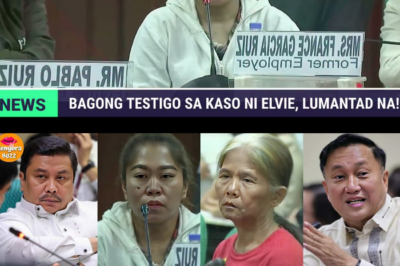 ‘MINURA, HINATAW NG GULOK, DI PA SINUWELDUHAN!’ Bagong Testigo sa Kasong Elvie Vergara, Naglantad ng Nakagigimbal na Kalupitan ng Mag-asawang Ruiz
