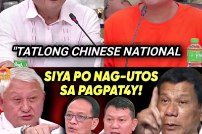 NAKAKAGULANTANG NA KASINUNGALINGAN: DATING WARDEN NG DAPICOL, IPINILIT ILABAS ANG KATOTOHANAN SA PANGIGITNA NG MGA TESTIMONYA NG HIGH-PROFILE SLAY SA LOOB NG BILANGGUAN